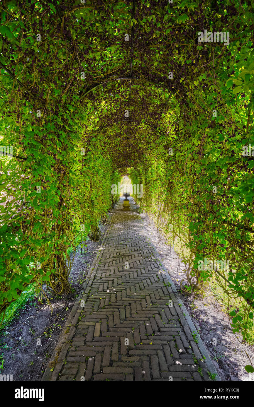Green berceau arbour sovradimensionate percorso da giardino Foto Stock