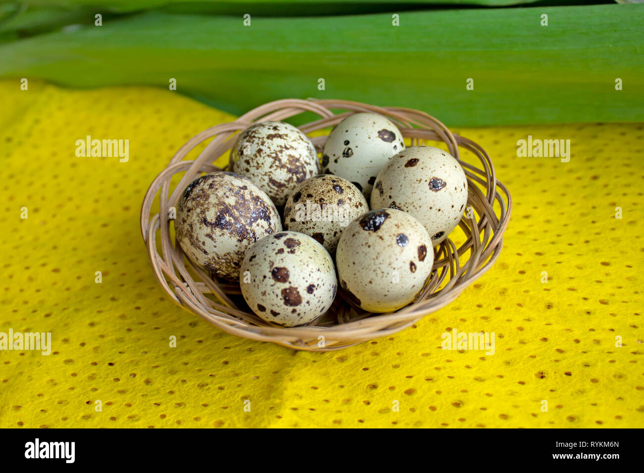 Uova di quaglia in un cestello. Pasqua. Integratori alimentari. Uno stile di vita sano concetto. Foto Stock