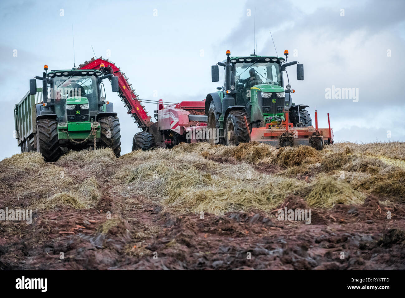 I trattori John Deere la raccolta di carote. Foto Stock