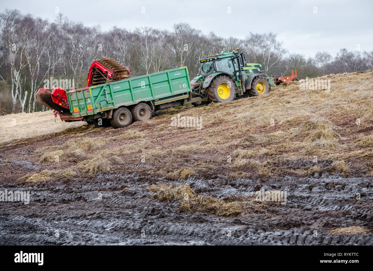 I trattori John Deere la raccolta di carote. Foto Stock