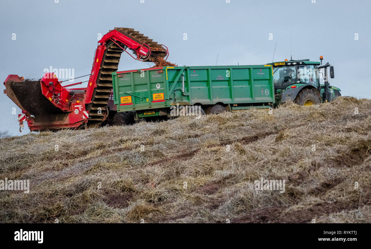 I trattori John Deere la raccolta di carote. Foto Stock