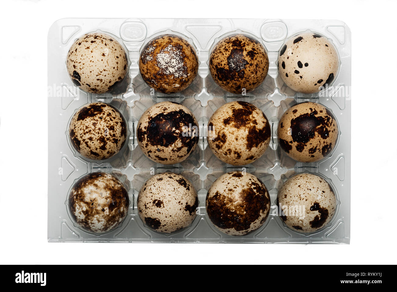 Una dozzina di uova di quaglia su sfondo bianco Foto Stock