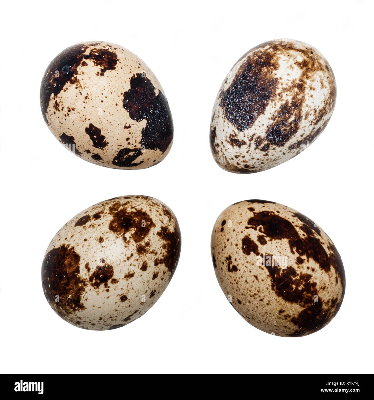 Quattro uova di quaglia su sfondo bianco Foto Stock