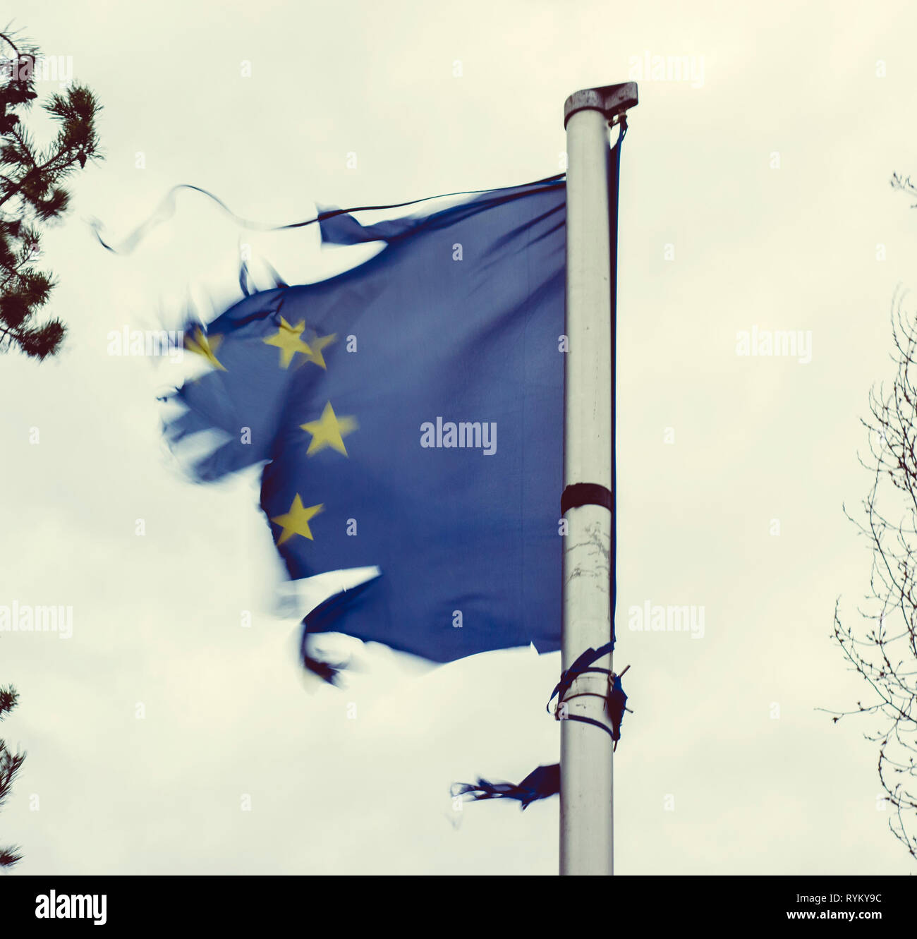 Strappata bandiera europea Foto Stock