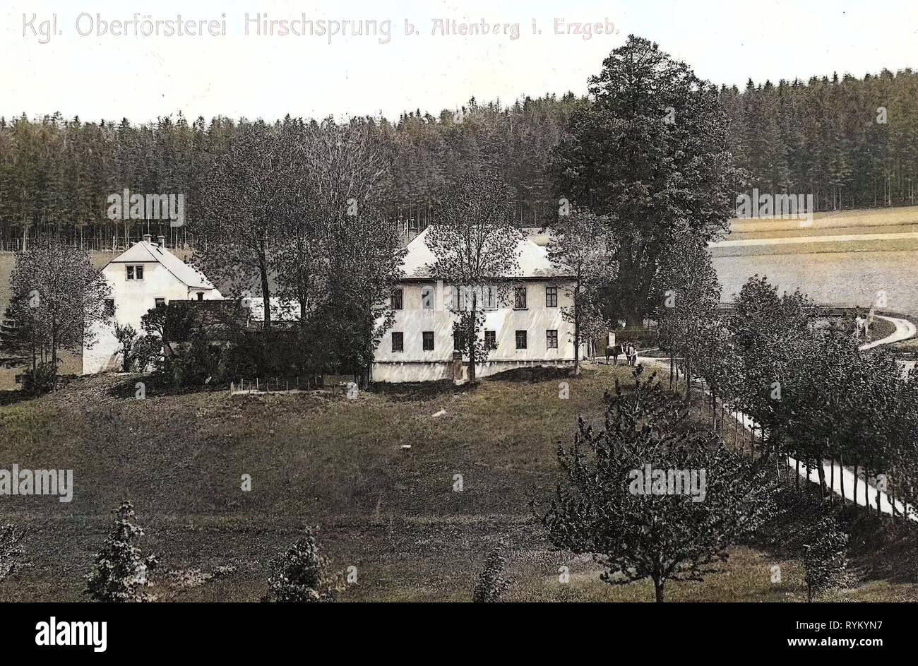 Categoria, Hirschsprung, 1903, bei Altenberg, Königliche Oberförsterei Foto Stock
