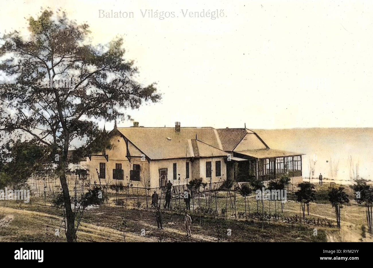 Ristoranti in Ungheria, Balaton, 1906, Somogy County, Vilagos, Vendeglö Foto Stock