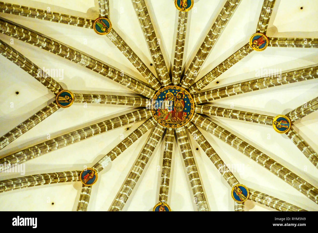 Cattedrale di Valencia dettaglio del soffitto all'interno della Casa Capitolare, Spagna Foto Stock