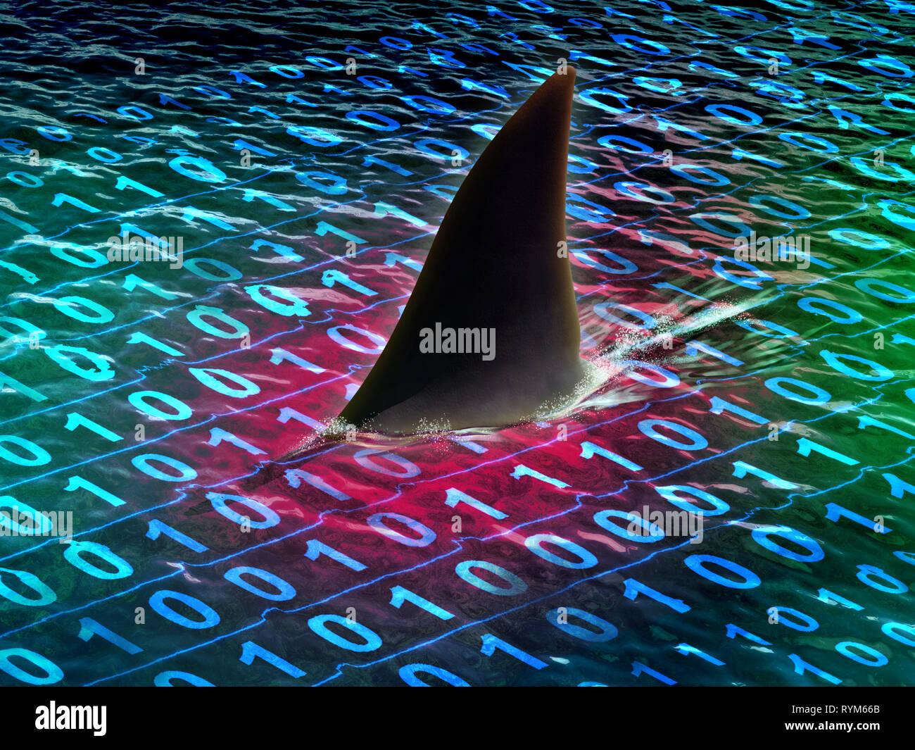 Shark nuotare in un mare di informazioni digitali. 3D'illustrazione. Foto Stock