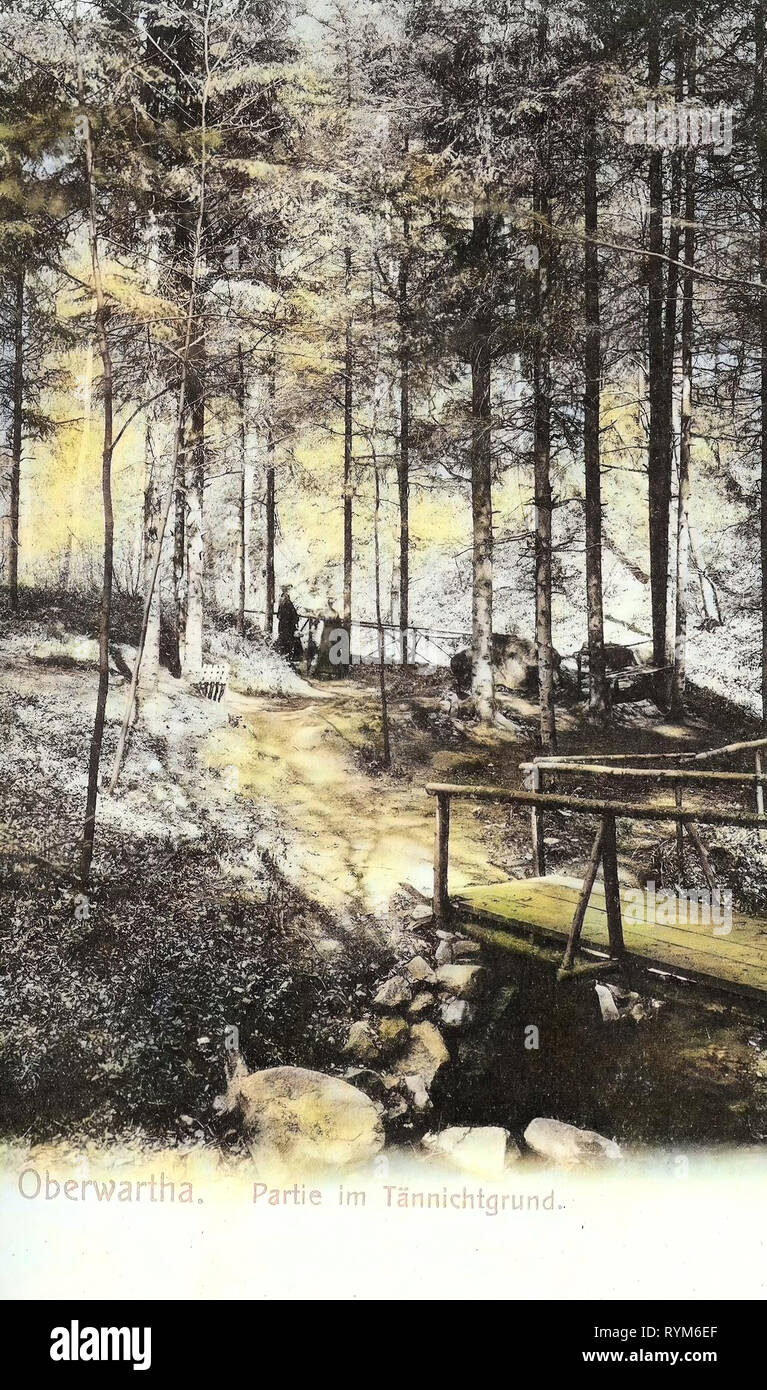 Ponti a Dresda, foreste in Sassonia, Tännichtgrund, 1903, Dresda, Oberwartha, Im Tännichtgrund, Germania Foto Stock