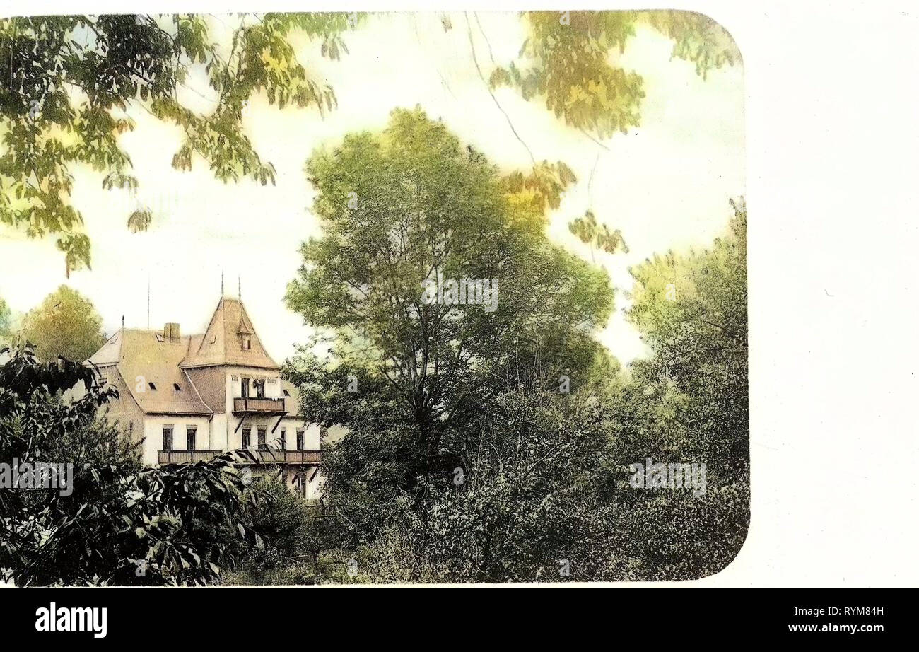 Ville in Sassonia, 1903, Landkreis Sächsische Schweiz-Osterzgebirge, Kipsdorf, Oberkipsdorf, Villa Daheim, Germania Foto Stock