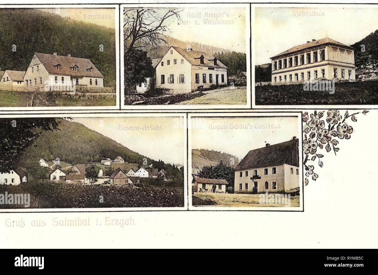 Cartoline Multiview, Pstruží u Merklína (ehemals) Salmthal, 1905, verschiedene Ortsansichten Foto Stock