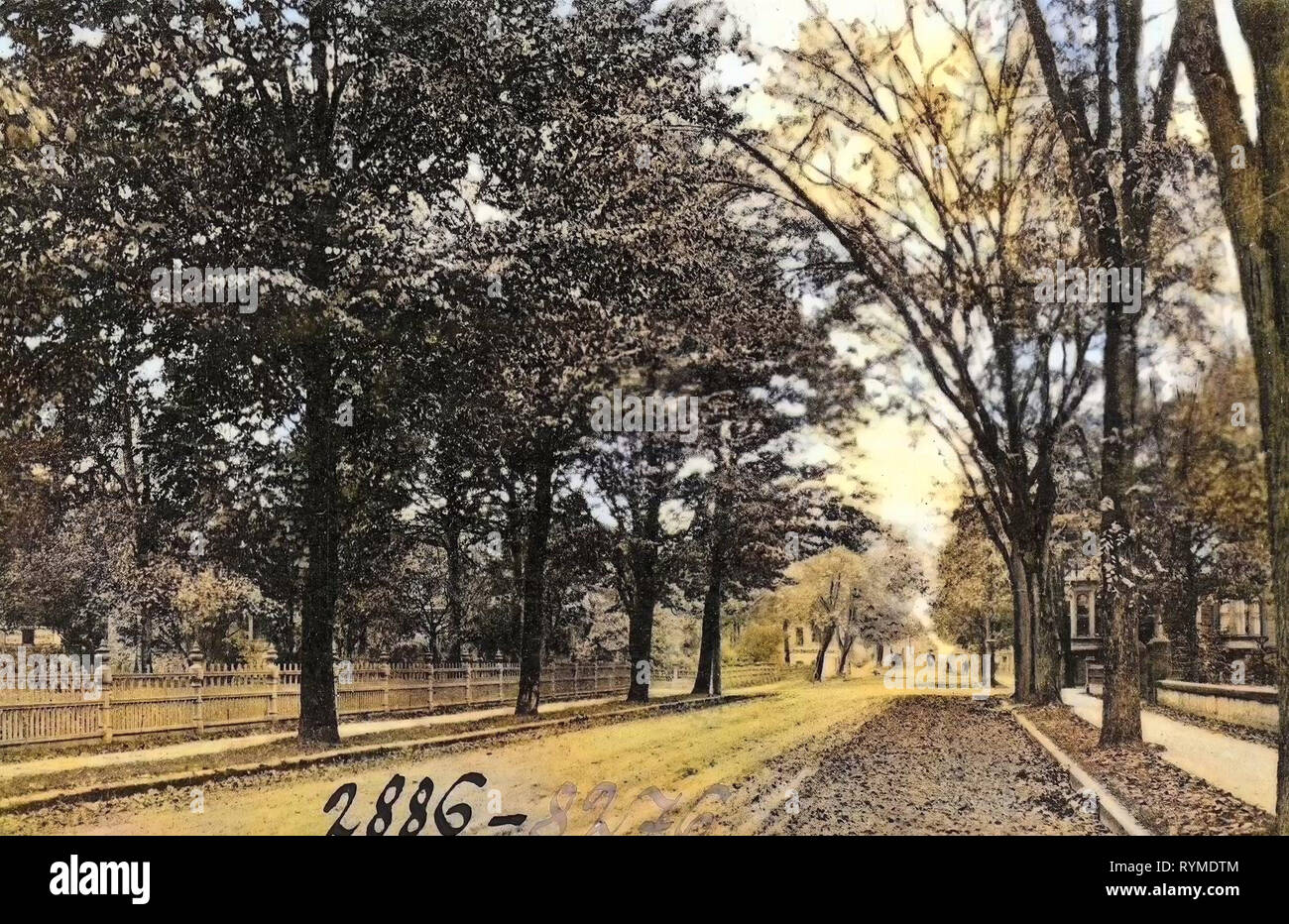 Viali di gli Stati Uniti di Portland, Oregon, 1906 Ore., Taylor Street Foto Stock