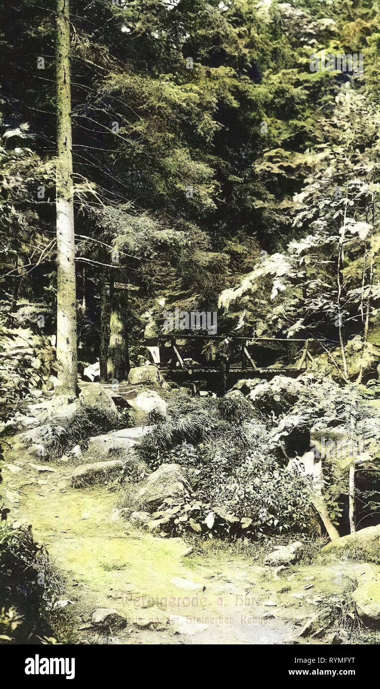 Steinerne Renne, ponti in Sassonia-Anhalt, foreste in Sassonia-Anhalt, 1907, Sassonia-Anhalt, Wernigerode, Partie an der steinernen Rinne, Germania Foto Stock