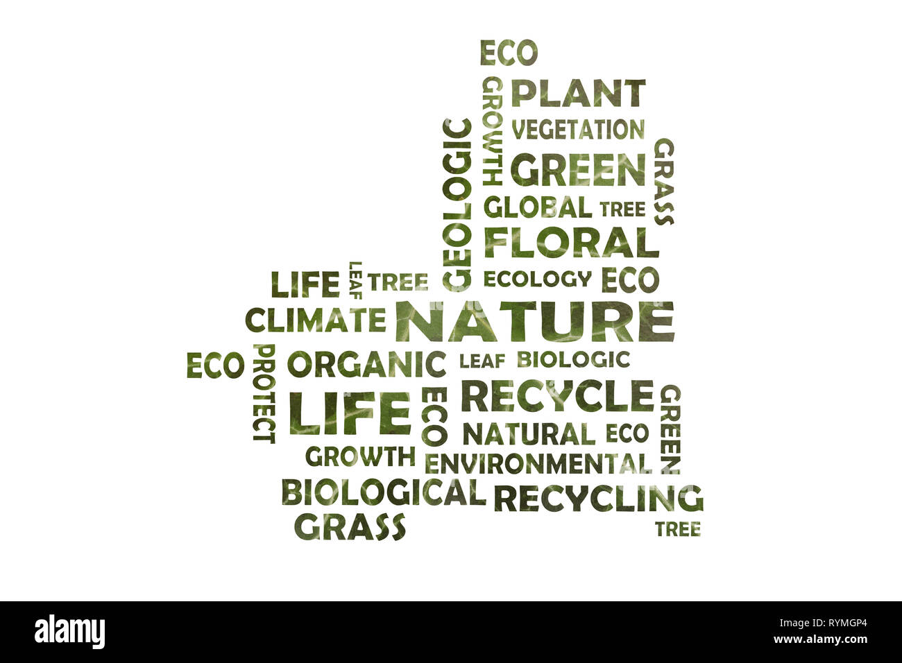 Combinazione di parole chiave sulla natura, ecologia e riciclaggio - parole tagliati fuori da una foglia di edera Foto Stock