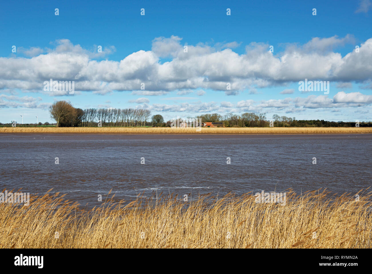 Il fiume Ouse, East Riding of Yorkshire, Inghilterra, Regno Unito Foto Stock