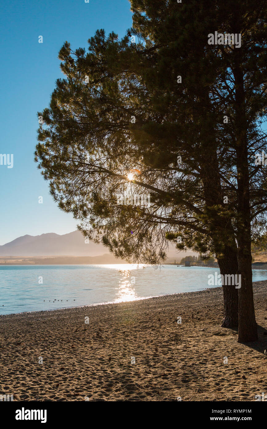 Nel tardo pomeriggio sole, Lago Tekapo, Nuova Zelanda Foto Stock