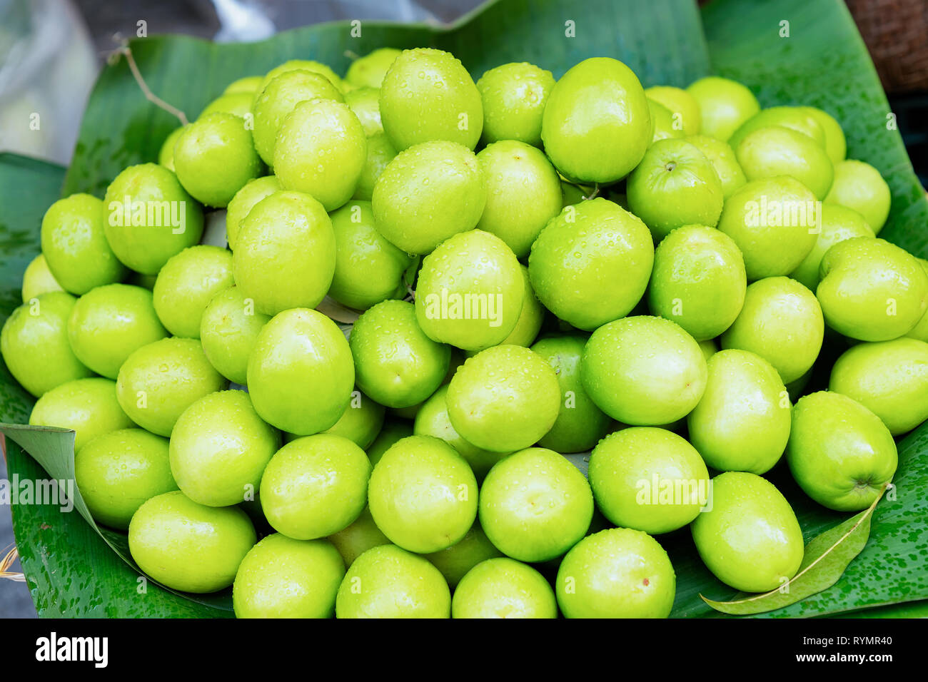 Stella verde apple come frutta esotica cucina asiatica ad Hanoi in Vietnam. Chrysophyllum cainito sulla strada del mercato con cucina vietnamita. Prodotti locali da ga Foto Stock