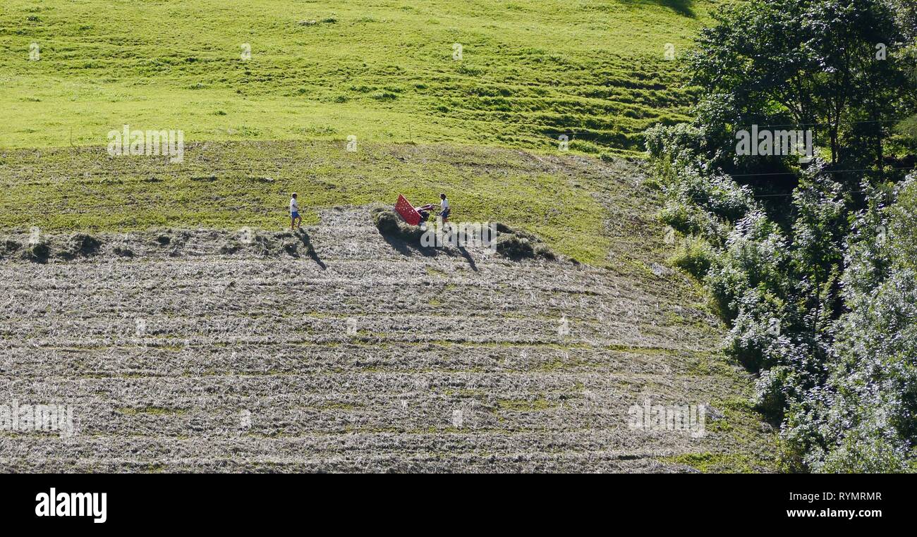 Gli agricoltori di tagliare il prato in Alpi, Alto Adige, Italia Foto Stock