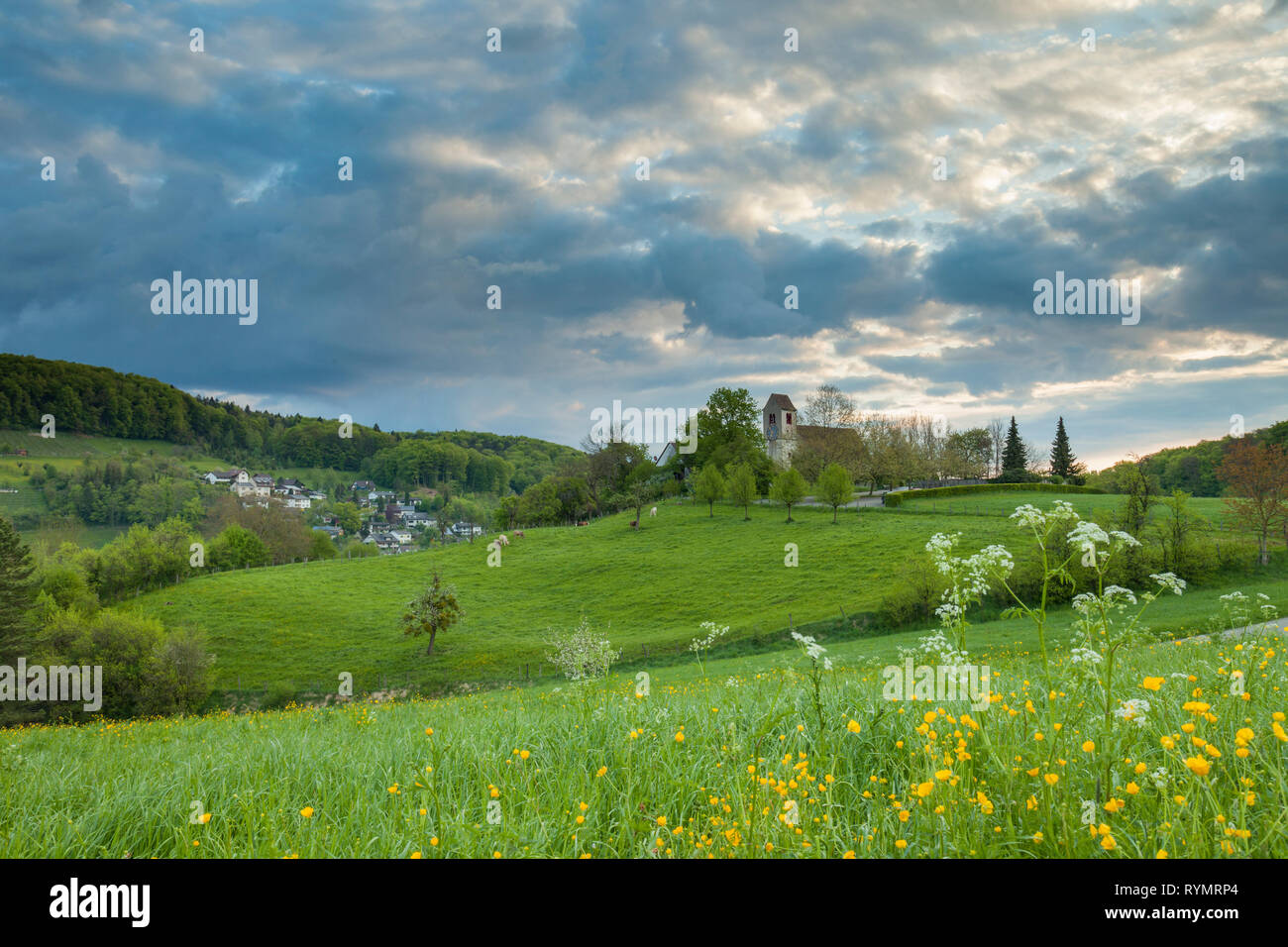 La molla sunrise nel villaggio di Ziefen, Basel-Country, Svizzera. Foto Stock