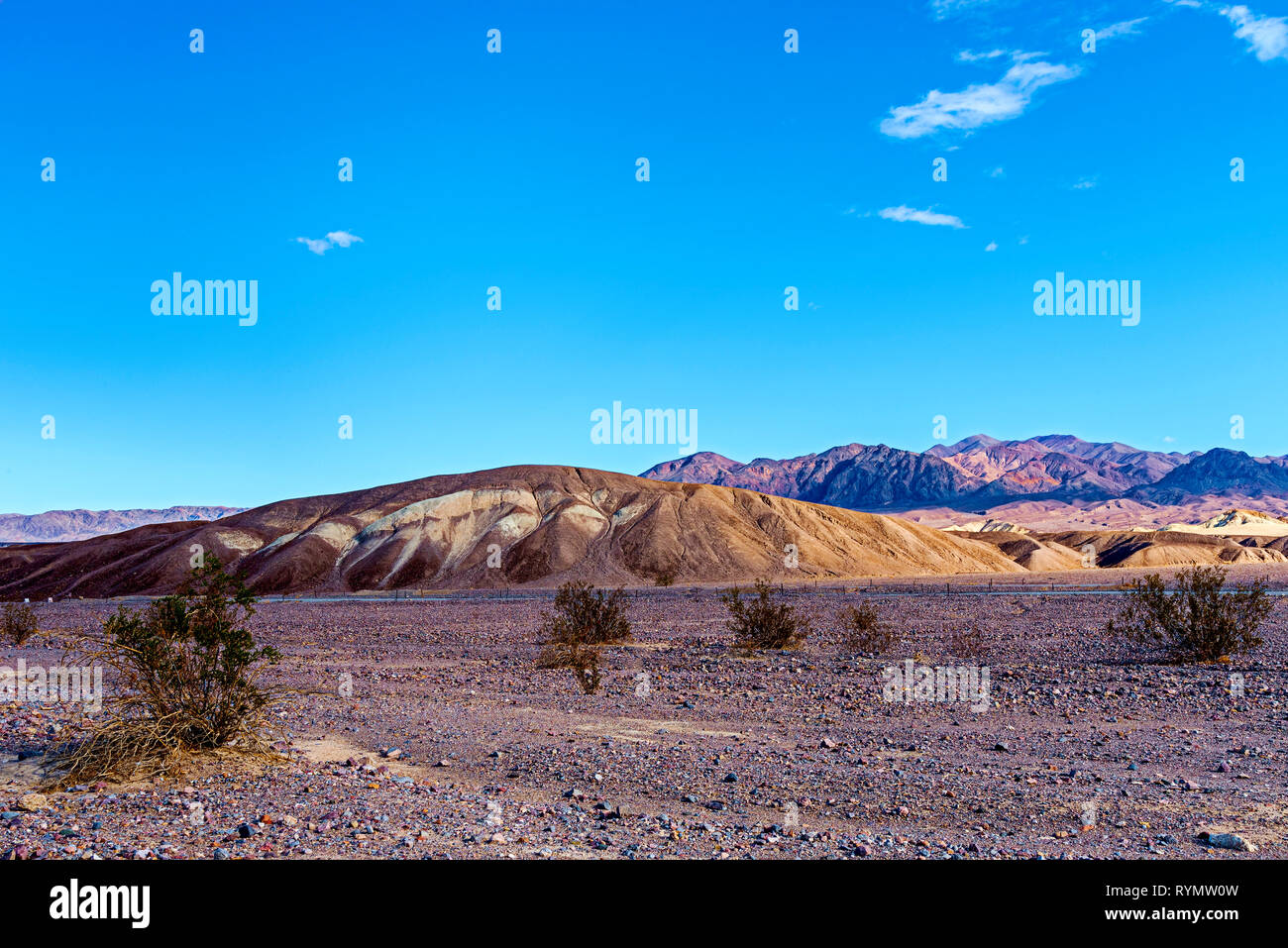 Deserto roccioso valley con piccoli cespugli di verde, giallo marrone colline e aride montagne rocciose al di là sotto un cielo azzurro con soffici nuvole. Foto Stock