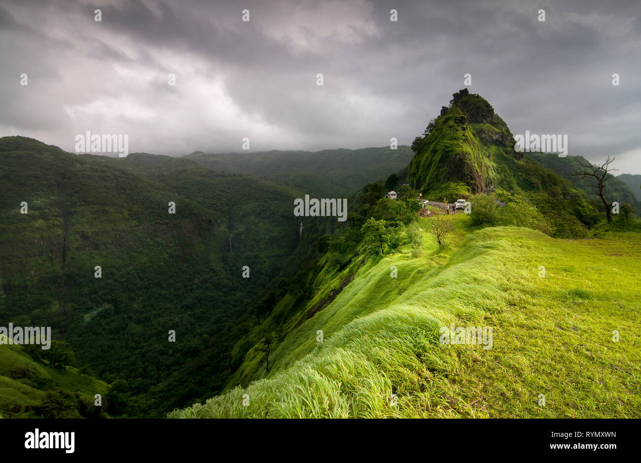 Lussureggiante paesaggio verde di Varandha Ghat,Bhor,Maharashtra, India Foto Stock