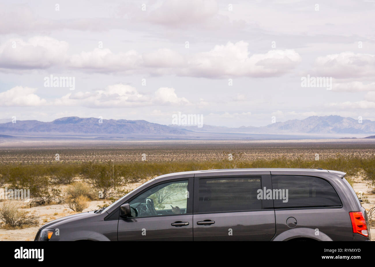 Un viaggio attraverso il Deserto Mojave, STATI UNITI D'AMERICA Foto Stock