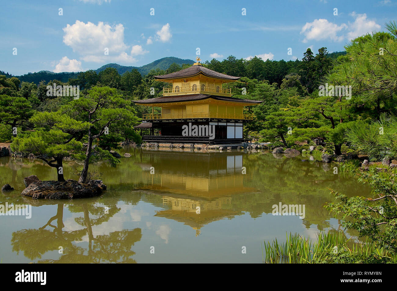 La bellissima Golden Pavillon (Kinkaku-ji) in una giornata di sole di Kyoto, Giappone Foto Stock