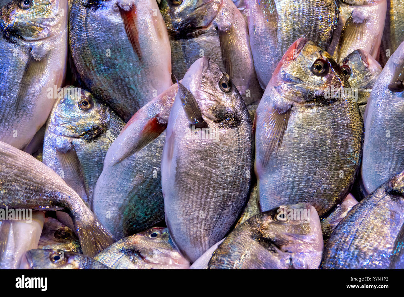 Orata orate sul display nel mercato del pesce in Kemeraltı bazaar, Izmir, Turchia Foto Stock