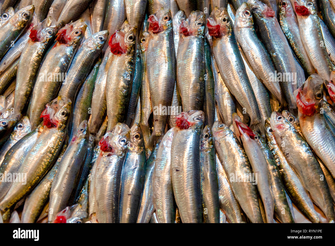 Unione delle sardelle sul display nel mercato del pesce in Kemeraltı bazaar, Izmir, Turchia Foto Stock