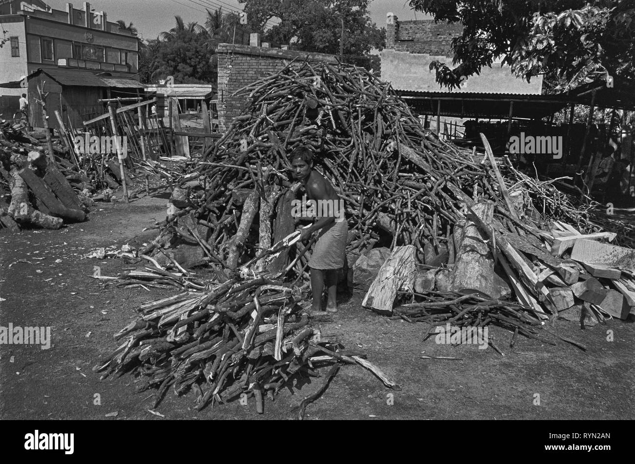 17/18 Legna da ardere merchant Rajshahi Bangladesh 1981 Foto Stock