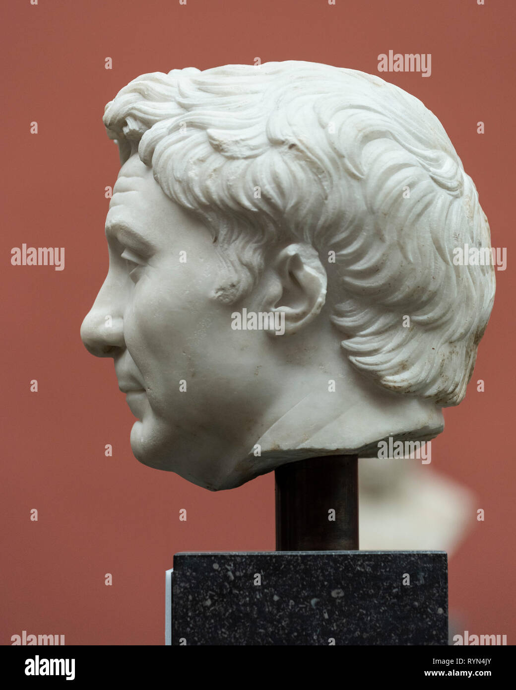 Copenhagen. La Danimarca. Busto di Pompeo il grande. Ny Carlsberg Glyptotek. Gnaeus Pompeo Magno 106 a.e.v.-48 BCE, Romana statista e l militare Foto Stock