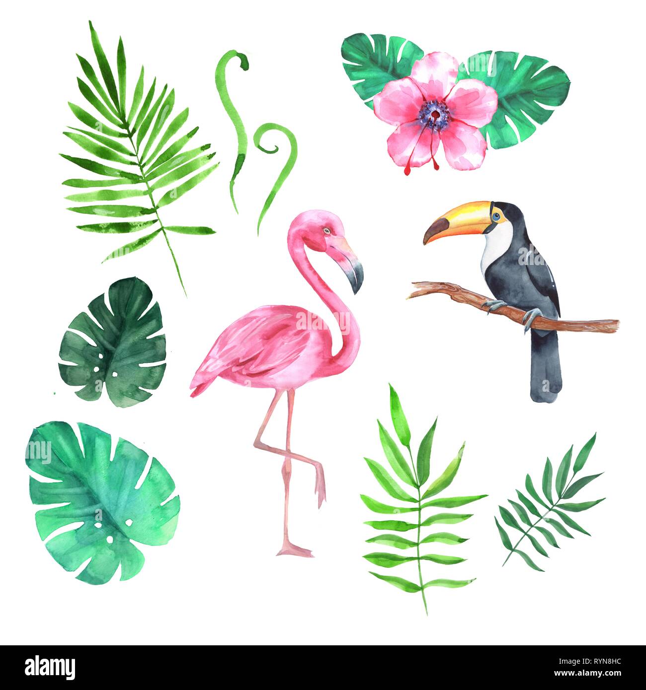 Set di acquerelli con piante tropicali e uccelli Foto Stock