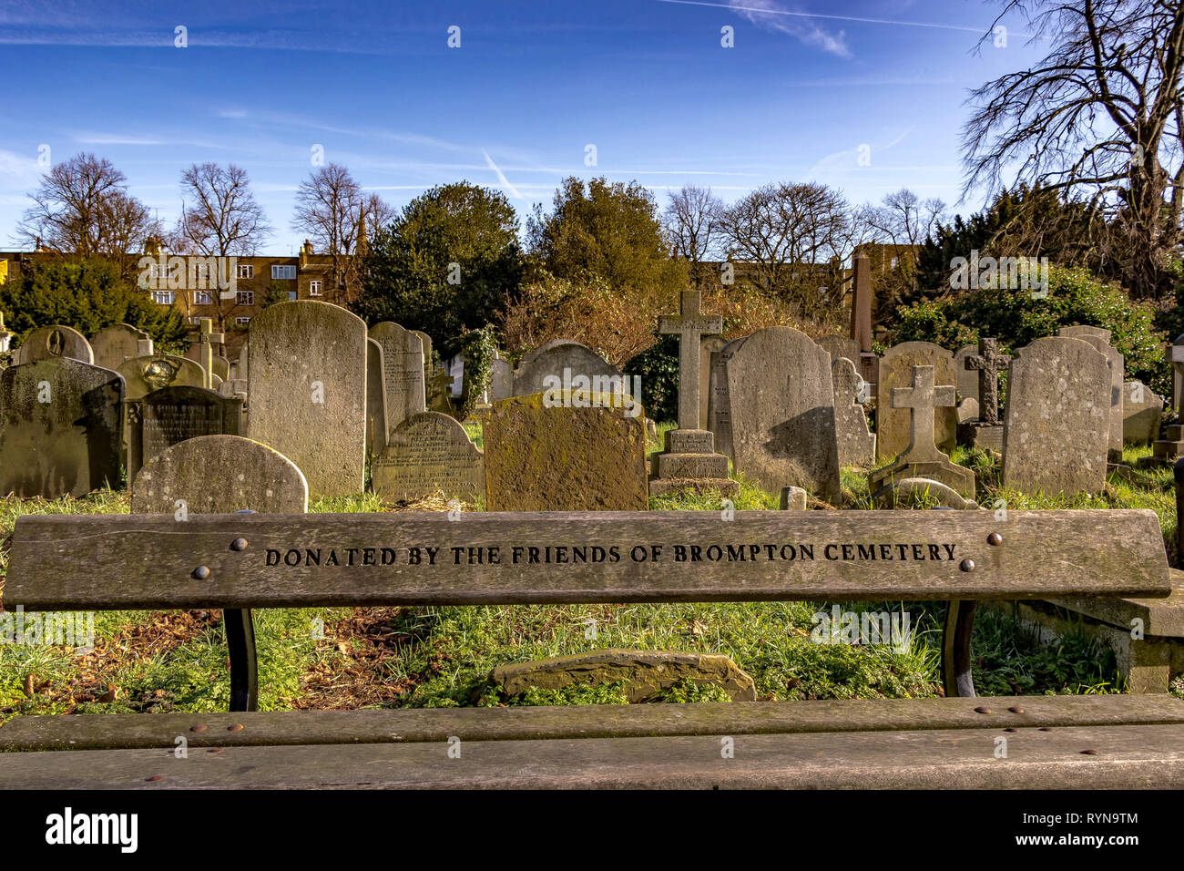 Brompton Cemetery, una panca di legno donata dagli amici del cimitero di Brompton si trova nel Royal Borough di Kensington e Chelsea, Londra, Regno Unito Foto Stock