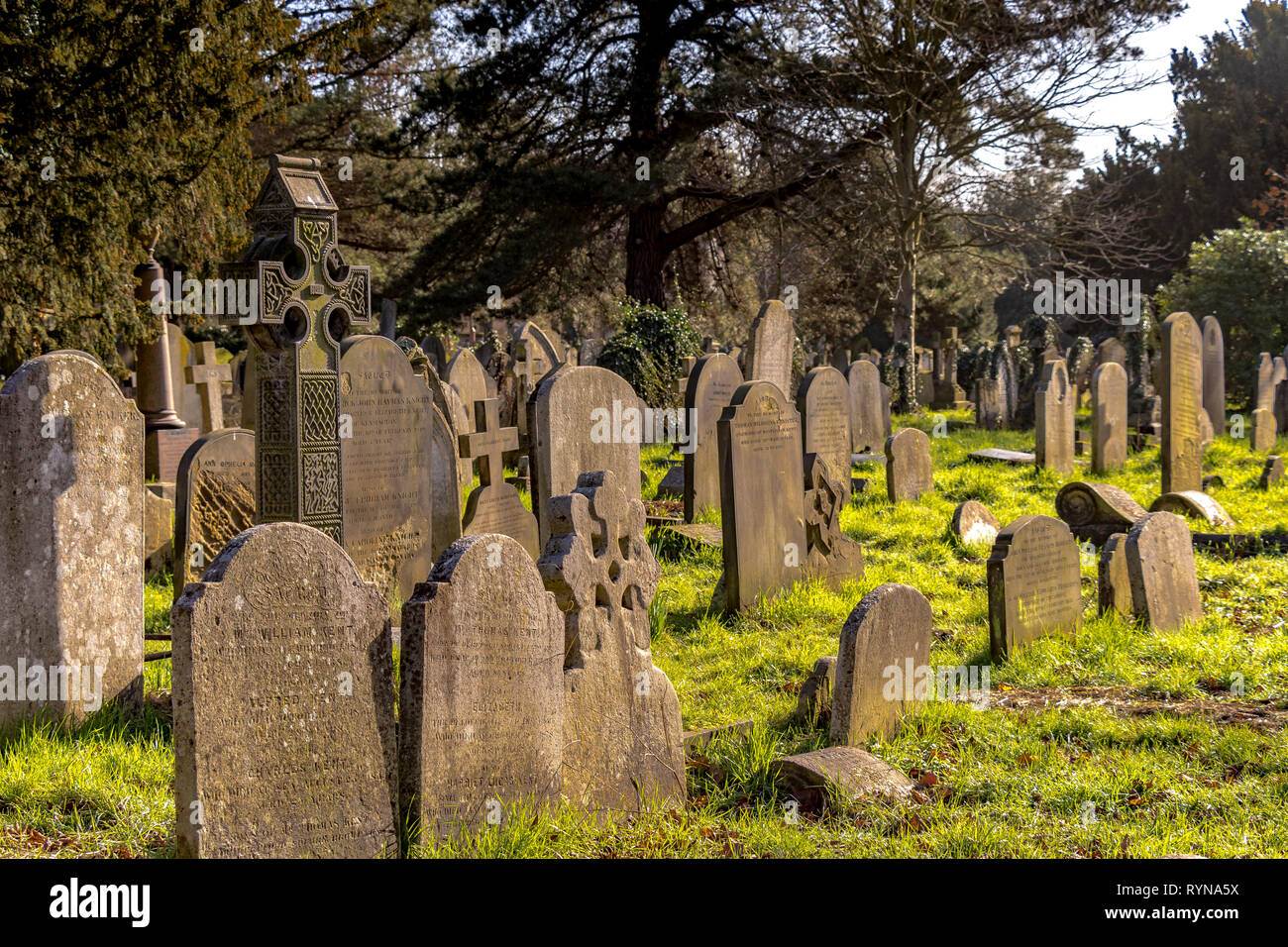 Tombe e lapidi in Brompton Cemetery nel Royal Borough di Kensington e Chelsea, SW London, Londra, Regno Unito Foto Stock