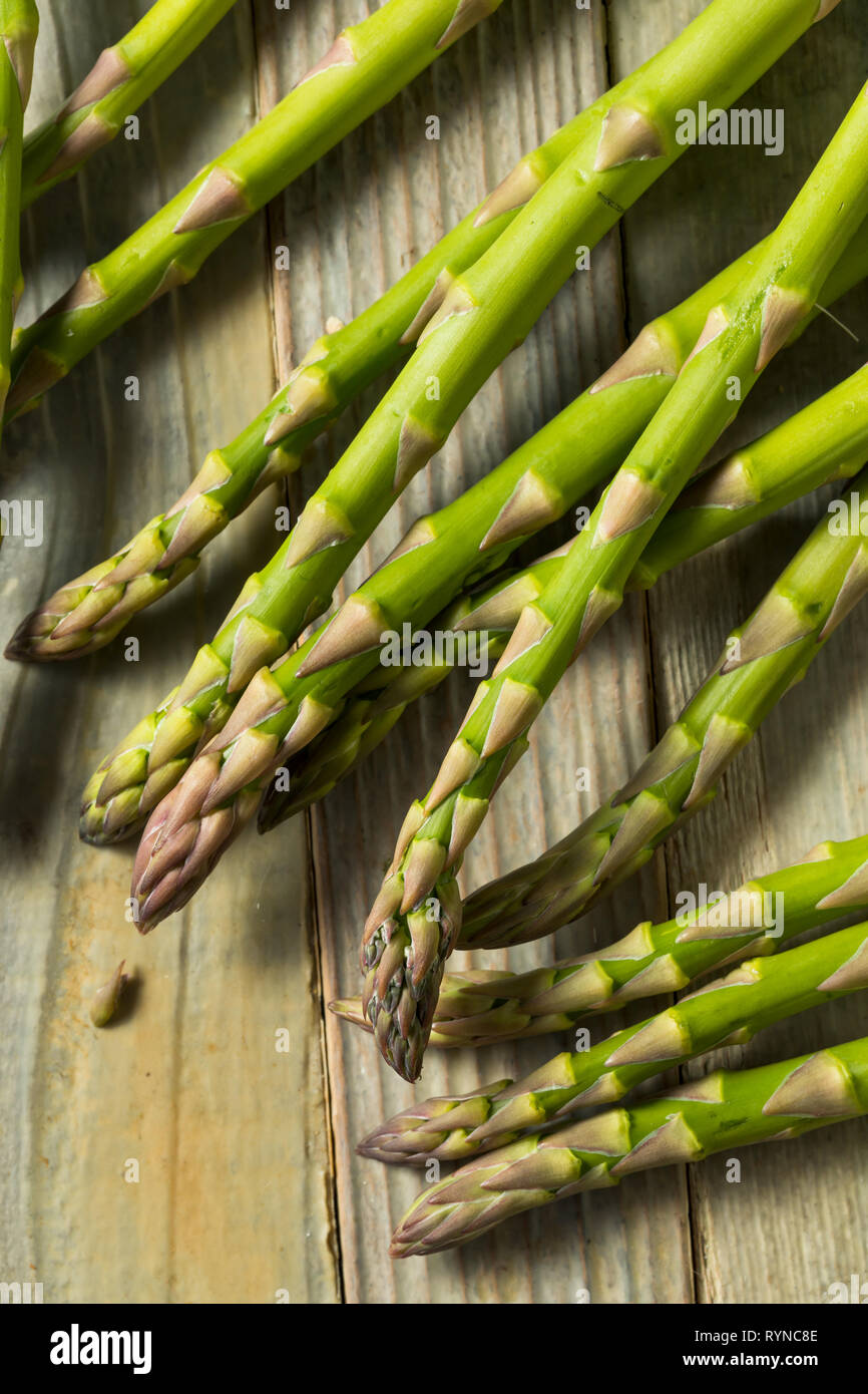 Materie organiche verdi asparagi germogli pronti per cucinare Foto Stock