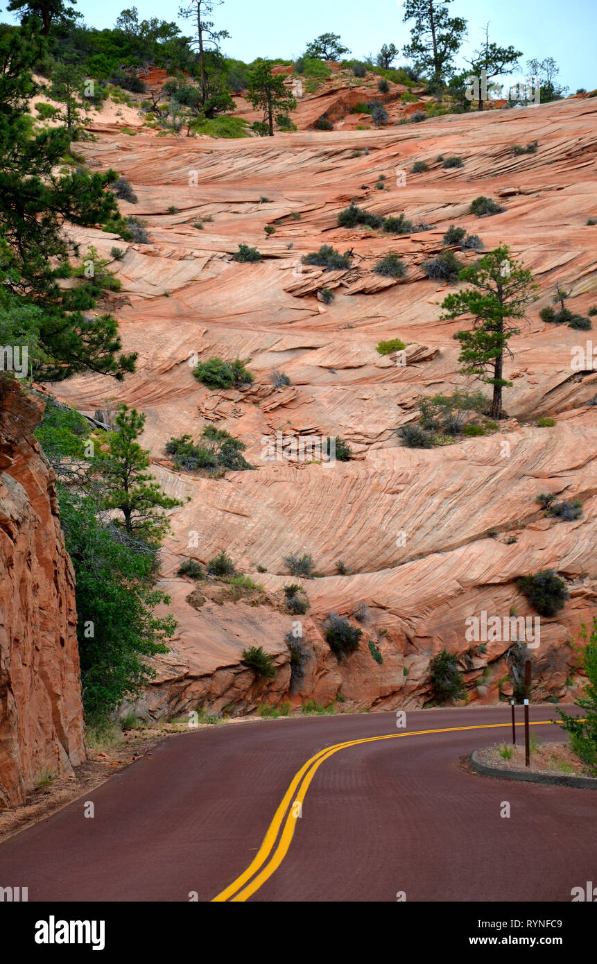 Zion National Park nello Utah Stati Uniti d'America Nord America Foto Stock