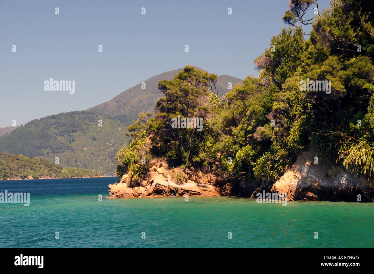 Queen Charlotte Sound, tra sforzo e ingresso Kaipakirikiri. Il suono è parte dell'area conosciuta come il Marlborough Sounds. Foto Stock
