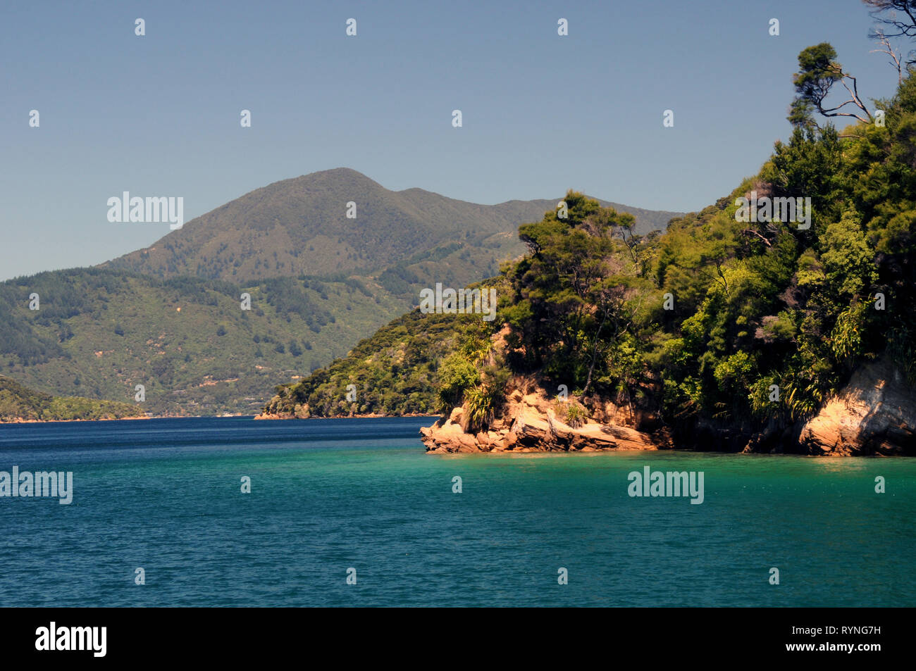 Queen Charlotte Sound, tra sforzo e ingresso Kaipakirikiri. Il suono è parte dell'area conosciuta come il Marlborough Sounds. Foto Stock