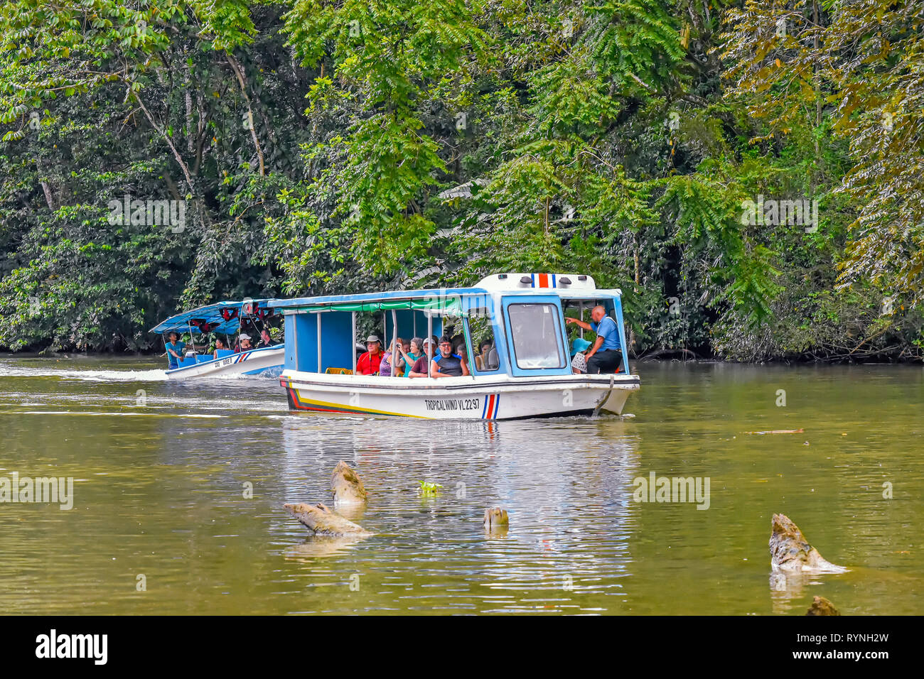 Tortuguero canal turisti onnature & wildlife watching tour nei pressi Limon Costa Rica Foto Stock