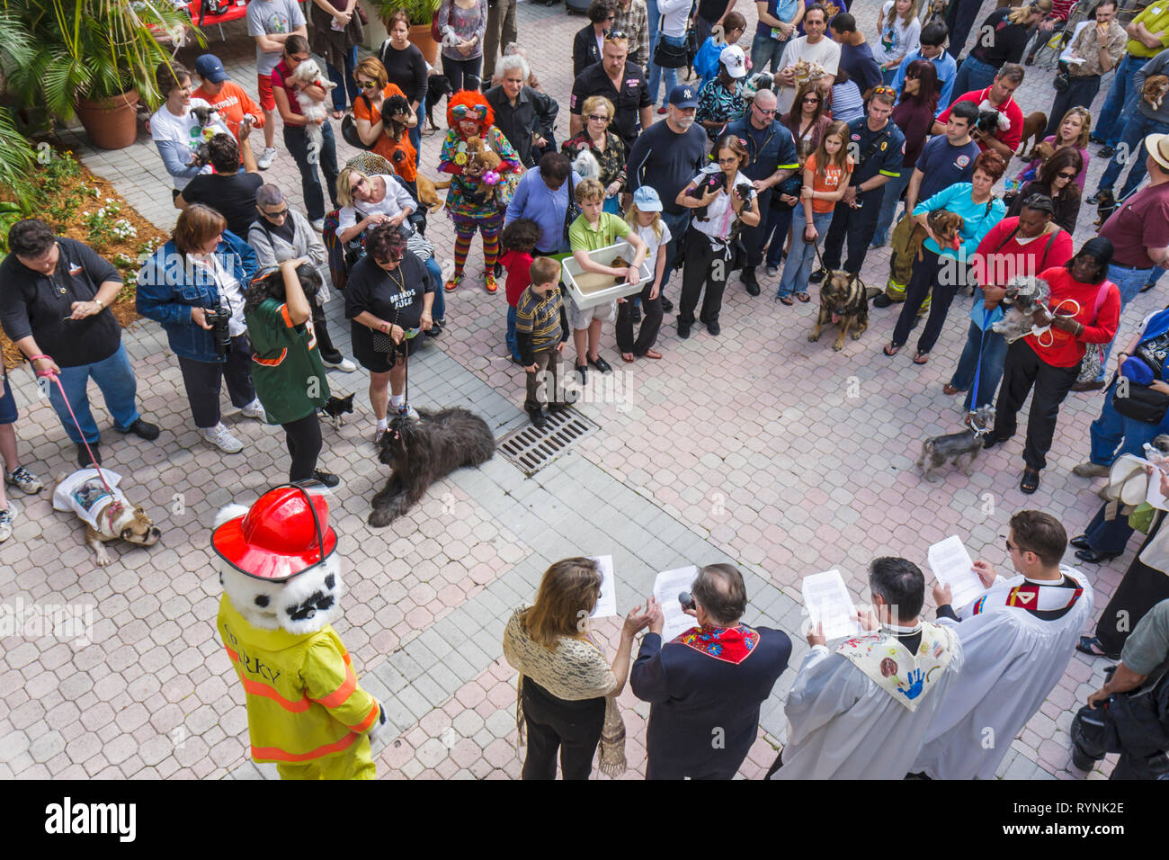 Miami Florida,Temple Israel,Bow Wow Paloooza Interfaith Benedizione degli animali,proprietario della comunità,animale domestico,cane,animale,clero,religione,cortile,uomo maschio,w Foto Stock