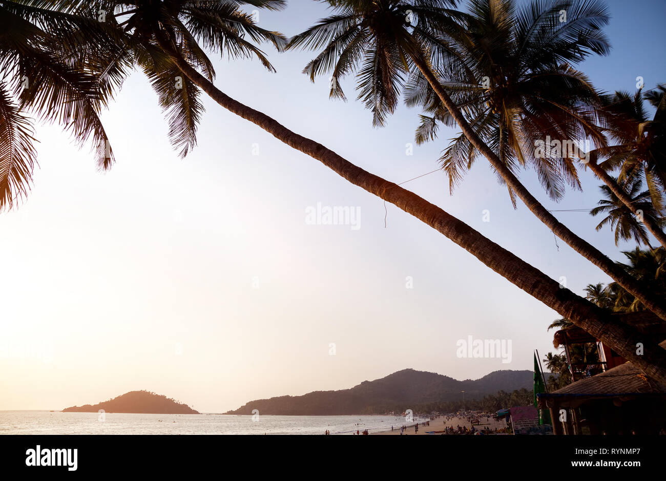 Bella vista panoramica del tramonto tropicale spiaggia con bungalow e palme di cocco a Palolem in Goa, India Foto Stock