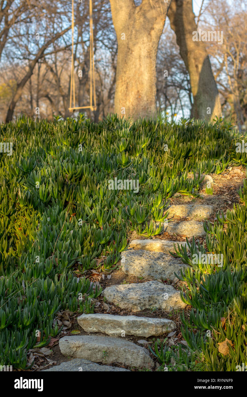 Gradini in pietra intorno a Verdi nel Parco Foto Stock