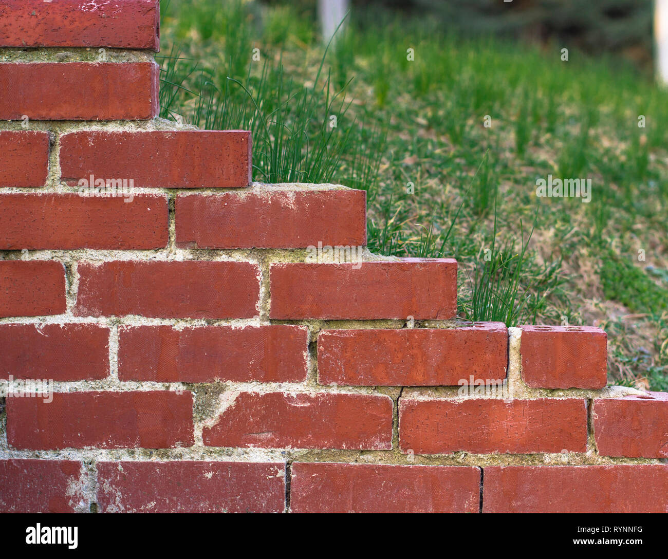 Una parte della parete di mattoni rossi. Sullo sfondo di un prato verde Foto Stock