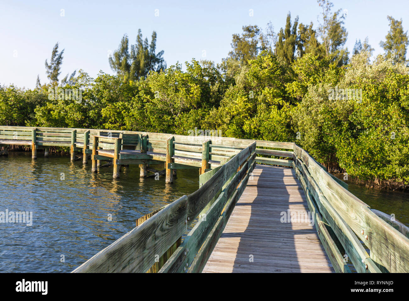 Florida Saint St. Lucie County, Fort ft. Pierce, A1A, North Hutchinson Barrier Island, Riverfront Round Island Park, Indian River Lagoon, passerella in legno, nat Foto Stock