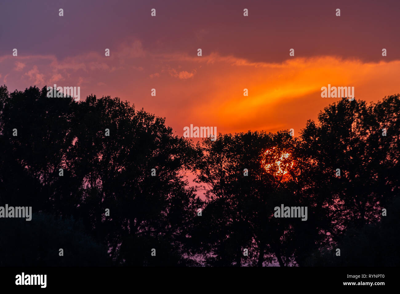 Tramonto con sun scendendo alcuni alberi silhouette e un bellissimo cielo colorato Foto Stock