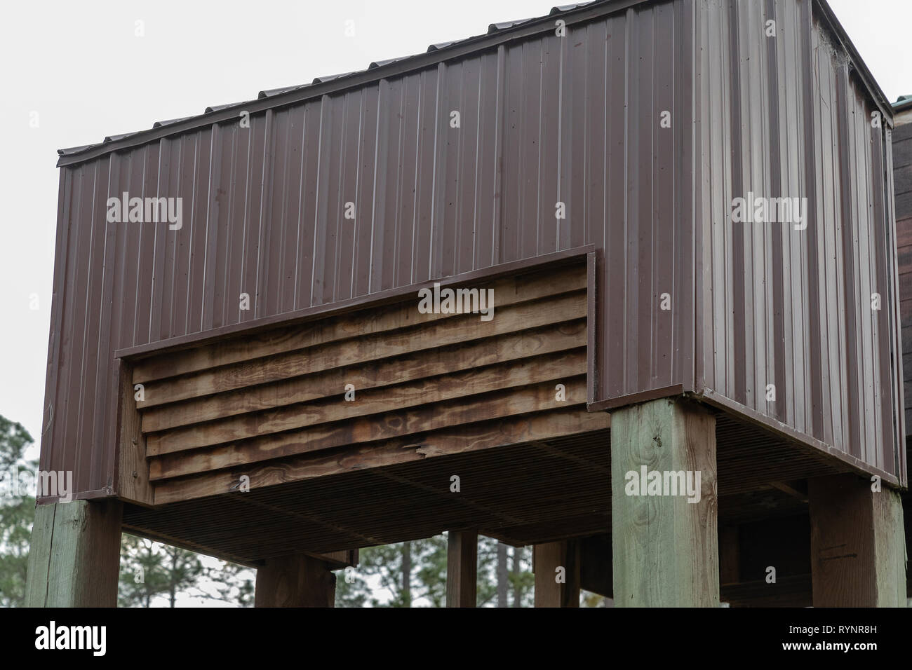 Scopo-costruito bat house, per ospitare fino a un massimo di 100.000 pipistrelli compresi brasiliano Free-tailed bat; Suwannee inferiore National Wildlife Refuge, Florida. Foto Stock