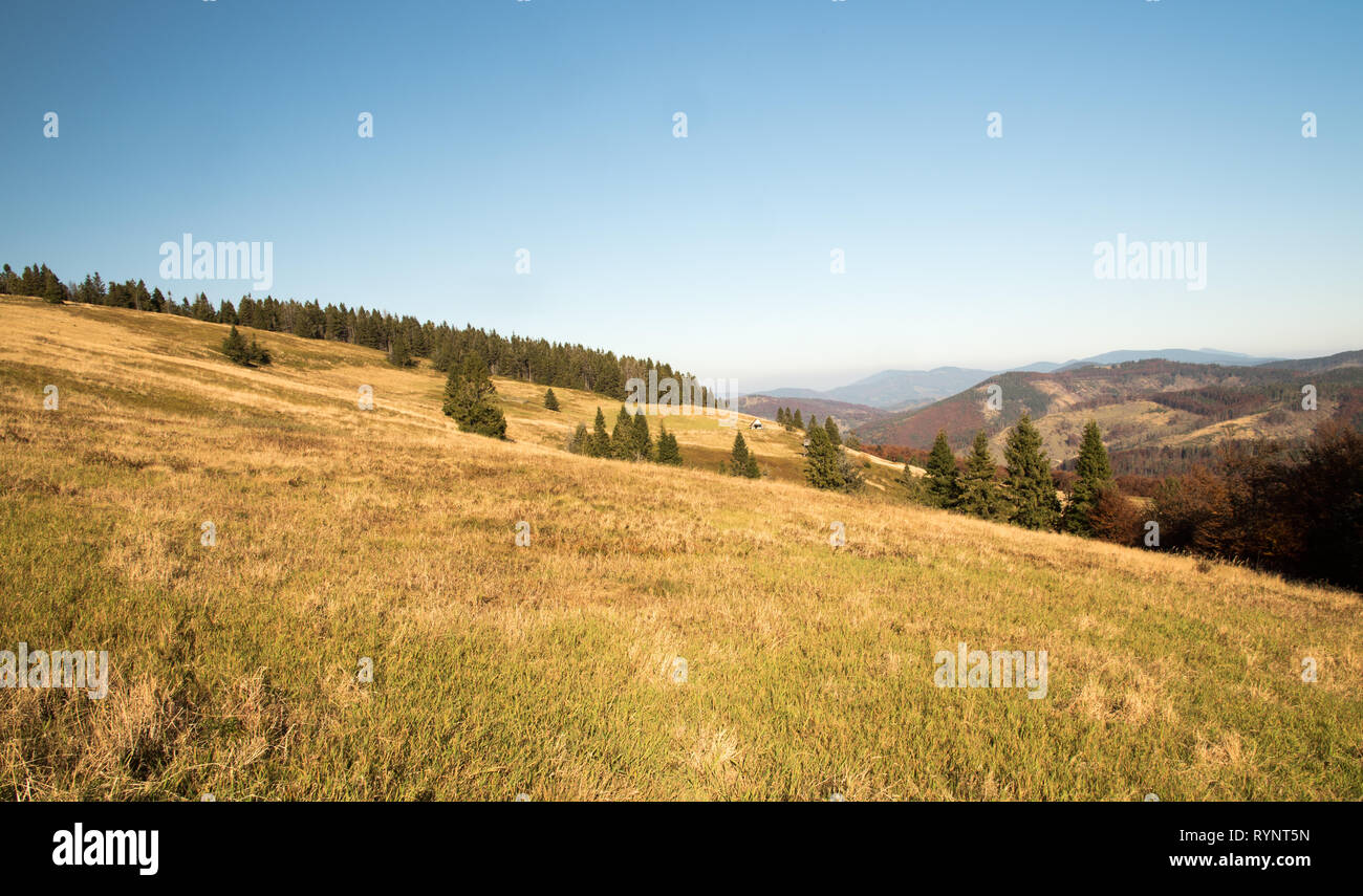 Hala na Malej Raczy prato di montagna con le colline intorno e cielo chiaro in autunno Beskid Zywiecki montagne in Polonia in prossimità dei confini con la Slovacchia Foto Stock