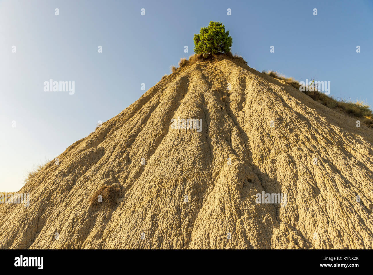 Campagna estiva del paesaggio in Aliano Parco nazionale Badlands area, bailicata Foto Stock