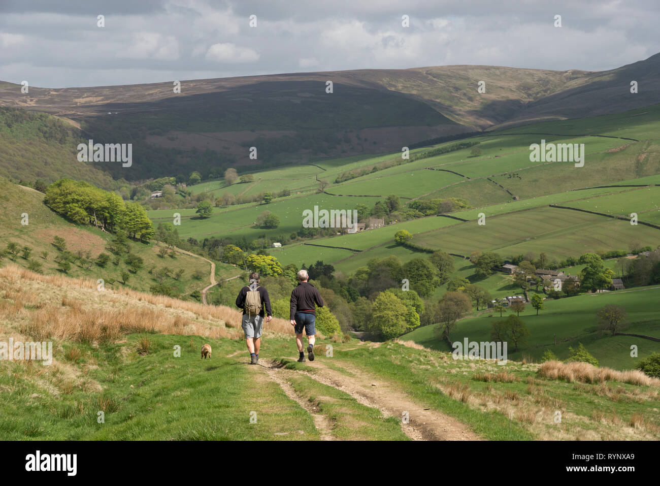 Due uomini a piedi nelle colline vicino a Hayfield nel parco nazionale di Peak District, Derbyshire, in Inghilterra. Kinder Scout in distanza. Foto Stock
