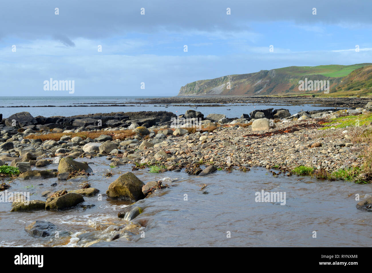 Kildonan beach e le guarnizioni crogiolarsi sulle rocce isola di Arran Foto Stock
